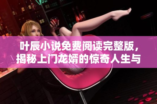 叶辰小说免费阅读完整版，揭秘上门龙婿的惊奇人生与精彩故事