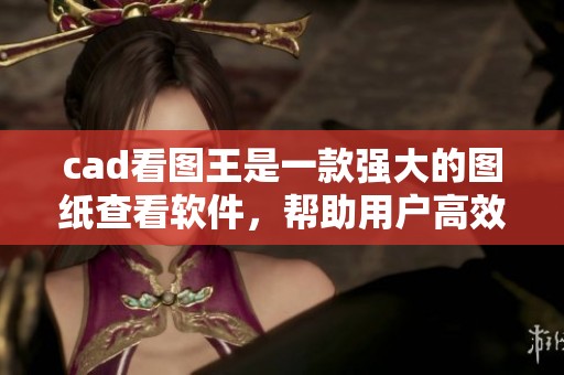 cad看图王是一款强大的图纸查看软件，帮助用户高效解读CAD图纸。
