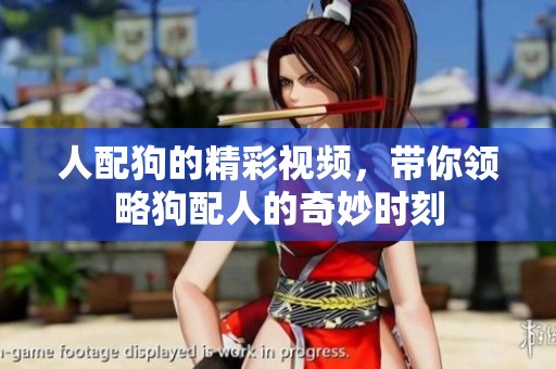 人配狗的精彩视频，带你领略狗配人的奇妙时刻