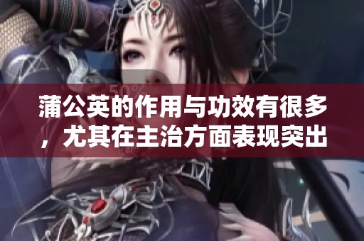 蒲公英的作用与功效有很多，尤其在主治方面表现突出
