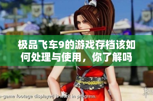 极品飞车9的游戏存档该如何处理与使用，你了解吗