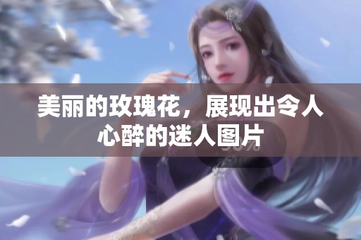 美丽的玫瑰花，展现出令人心醉的迷人图片