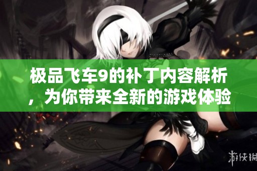 极品飞车9的补丁内容解析，为你带来全新的游戏体验快来了解一下！