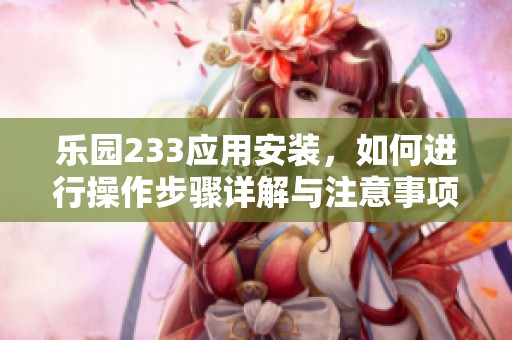 乐园233应用安装，如何进行操作步骤详解与注意事项分享