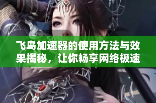 飞鸟加速器的使用方法与效果揭秘，让你畅享网络极速体验
