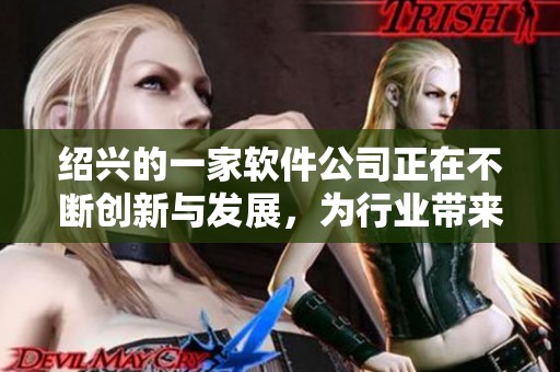 绍兴的一家软件公司正在不断创新与发展，为行业带来新的机遇与挑战