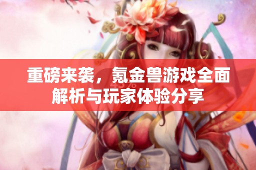 重磅来袭，氪金兽游戏全面解析与玩家体验分享