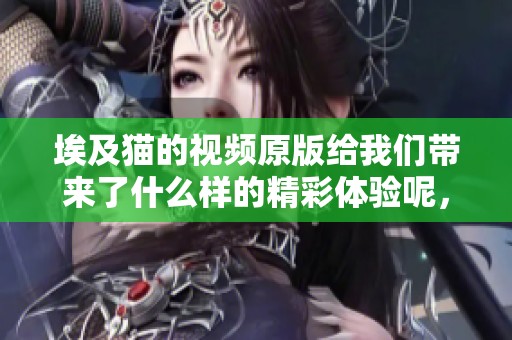 埃及猫的视频原版给我们带来了什么样的精彩体验呢，你可以来看一看。