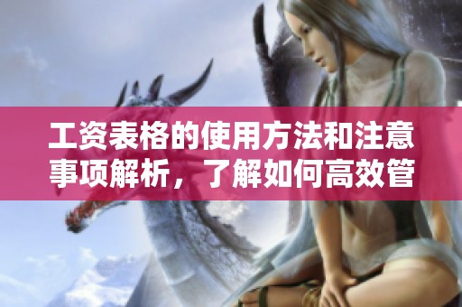 工资表格的使用方法和注意事项解析，了解如何高效管理薪资数据