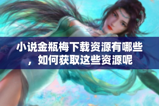 小说金瓶梅下载资源有哪些，如何获取这些资源呢