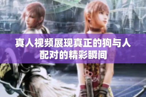 真人视频展现真正的狗与人配对的精彩瞬间