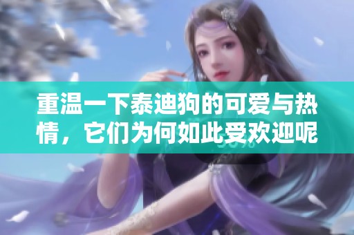 重温一下泰迪狗的可爱与热情，它们为何如此受欢迎呢