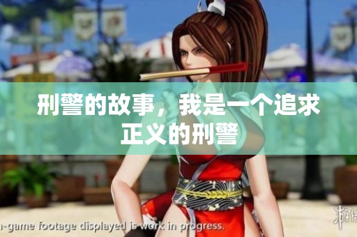 刑警的故事，我是一个追求正义的刑警