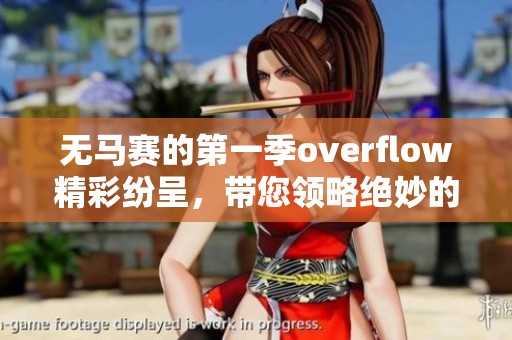 无马赛的第一季overflow精彩纷呈，带您领略绝妙的剧情体验