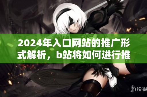 2024年入口网站的推广形式解析，b站将如何进行推广活动