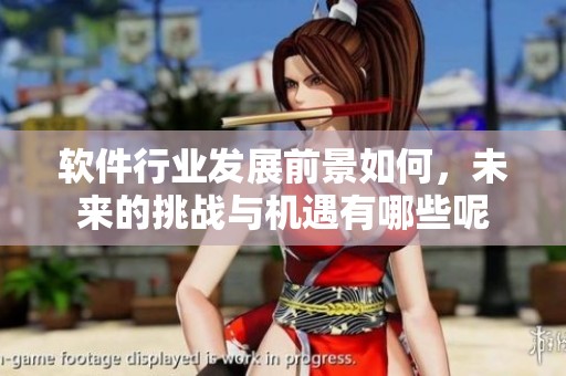 软件行业发展前景如何，未来的挑战与机遇有哪些呢