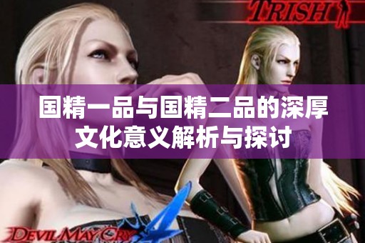 国精一品与国精二品的深厚文化意义解析与探讨
