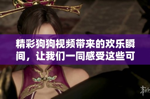 精彩狗狗视频带来的欢乐瞬间，让我们一同感受这些可爱瞬间的魅力吧