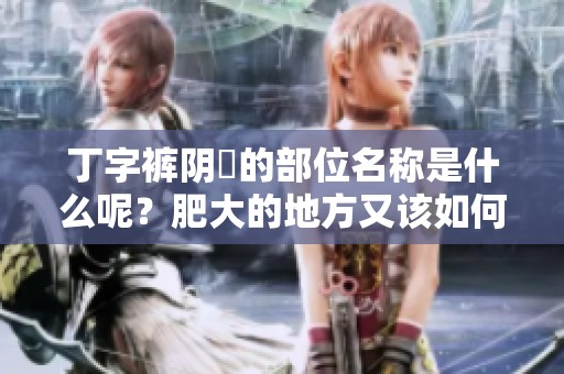 丁字裤阴脣的部位名称是什么呢？肥大的地方又该如何称呼呢？