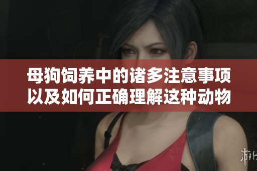 母狗饲养中的诸多注意事项以及如何正确理解这种动物的行为特征