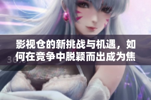 影视仓的新挑战与机遇，如何在竞争中脱颖而出成为焦点
