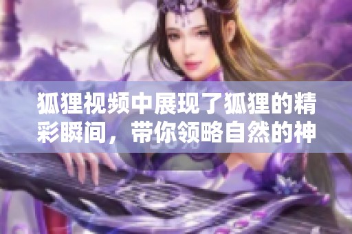 狐狸视频中展现了狐狸的精彩瞬间，带你领略自然的神秘之美
