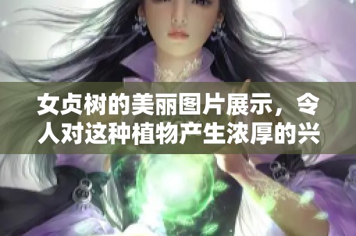 女贞树的美丽图片展示，令人对这种植物产生浓厚的兴趣与喜爱。