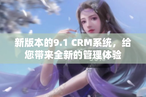 新版本的9.1 CRM系统，给您带来全新的管理体验