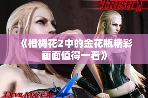 《楷梅花2中的金花瓶精彩画面值得一看》