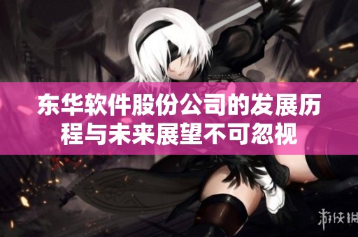 东华软件股份公司的发展历程与未来展望不可忽视