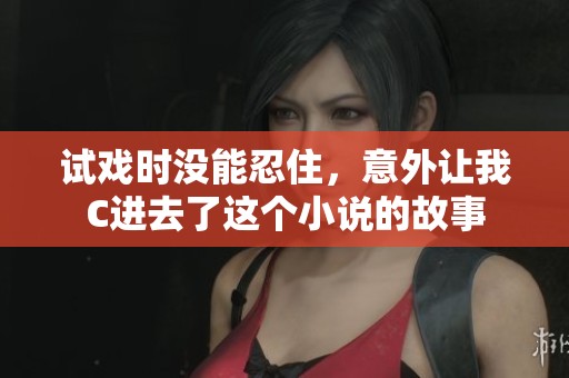 试戏时没能忍住，意外让我C进去了这个小说的故事