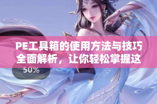 PE工具箱的使用方法与技巧全面解析，让你轻松掌握这款实用工具的所有功能