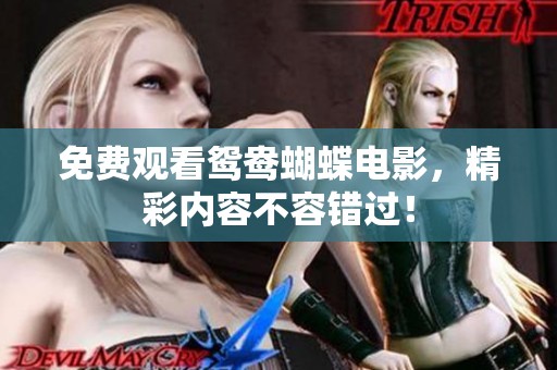 免费观看鸳鸯蝴蝶电影，精彩内容不容错过！