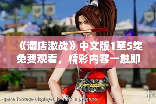 《酒店激战》中文版1至5集免费观看，精彩内容一触即发！