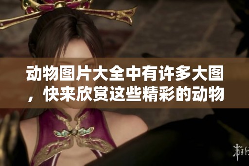 动物图片大全中有许多大图，快来欣赏这些精彩的动物吧！