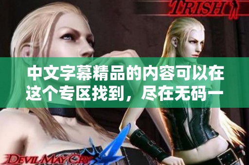 中文字幕精品的内容可以在这个专区找到，尽在**一区二区内等你来探索