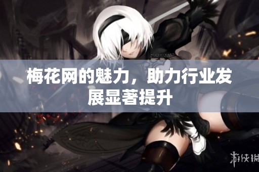 梅花网的魅力，助力行业发展显著提升