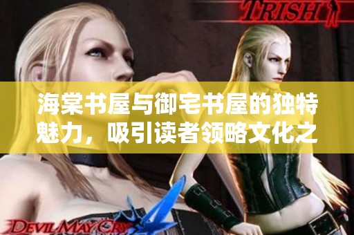 海棠书屋与御宅书屋的独特魅力，吸引读者领略文化之美