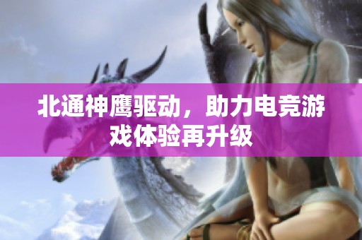 北通神鹰驱动，助力电竞游戏体验再升级