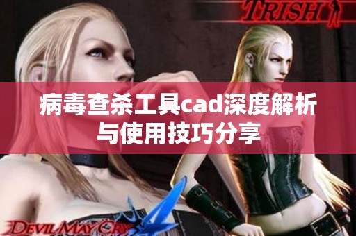 病毒查杀工具cad深度解析与使用技巧分享