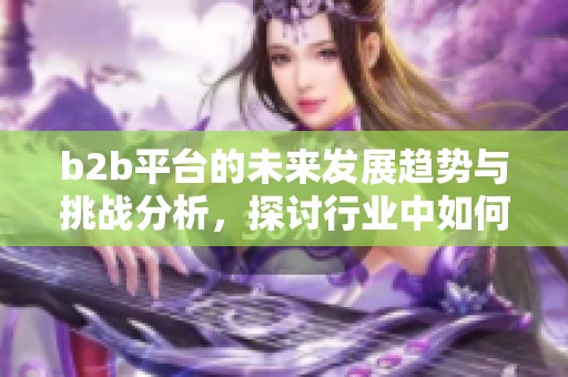 b2b平台的未来发展趋势与挑战分析，探讨行业中如何应对变化