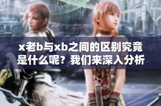 x老b与xb之间的区别究竟是什么呢？我们来深入分析一下这两者的不同之处。