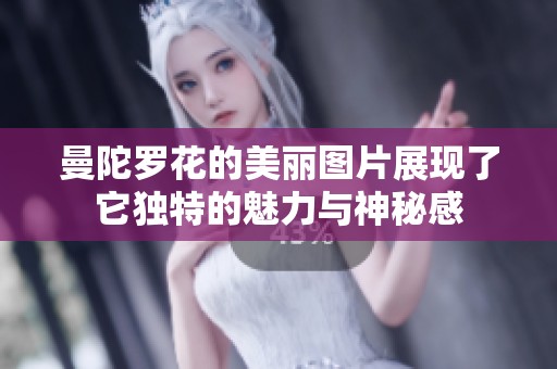 曼陀罗花的美丽图片展现了它独特的魅力与神秘感