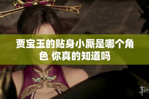 贾宝玉的贴身小厮是哪个角色 你真的知道吗