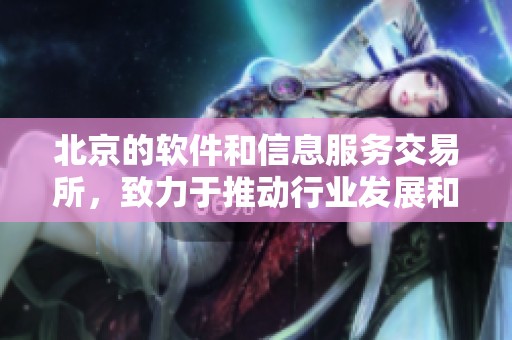 北京的软件和信息服务交易所，致力于推动行业发展和创新技术应用。
