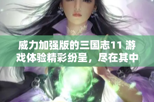 威力加强版的三国志11 游戏体验精彩纷呈，尽在其中等你来战！