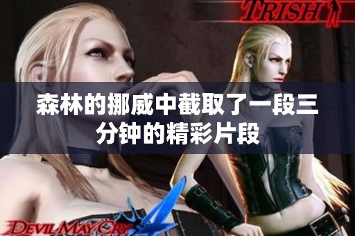 森林的挪威中截取了一段三分钟的精彩片段