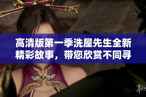 高清版第一季洗屋先生全新精彩故事，带您欣赏不同寻常的生活体验