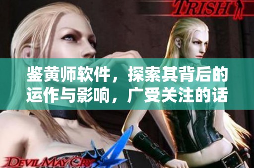 鉴黄师软件，探索其背后的运作与影响，广受关注的话题再次引发热议