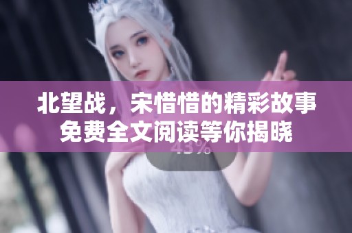 北望战，宋惜惜的精彩故事免费全文阅读等你揭晓